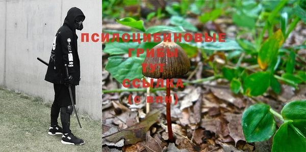 твердый Арсеньев