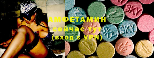 гидра Армянск