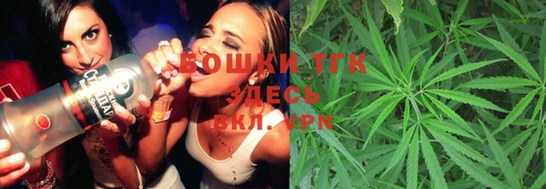 твердый Арсеньев